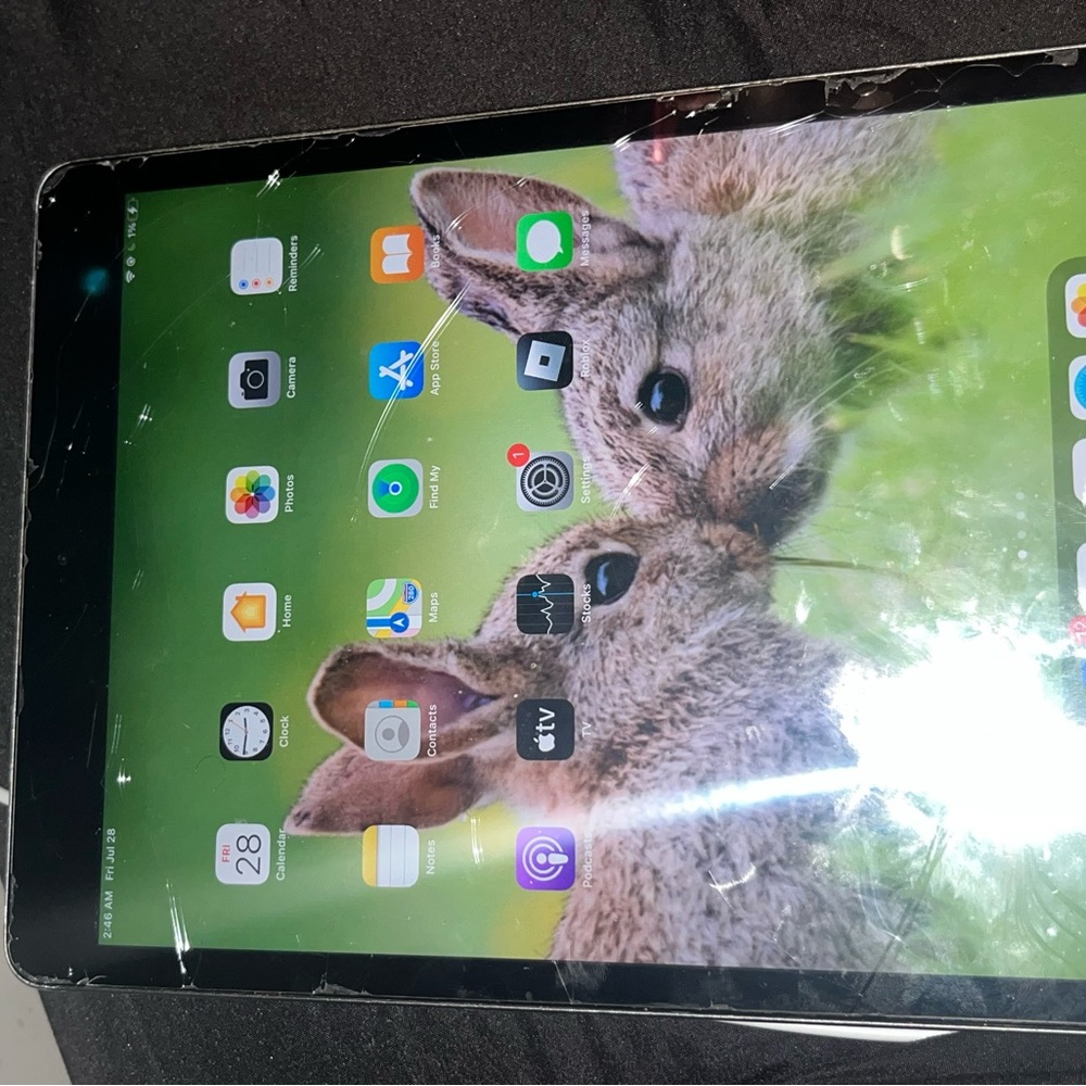 Apple ipad